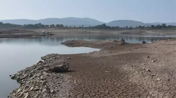 Muğla'daki barajlar kuruldu, uzmanlar endişeli: Bizi zor günler bekliyor