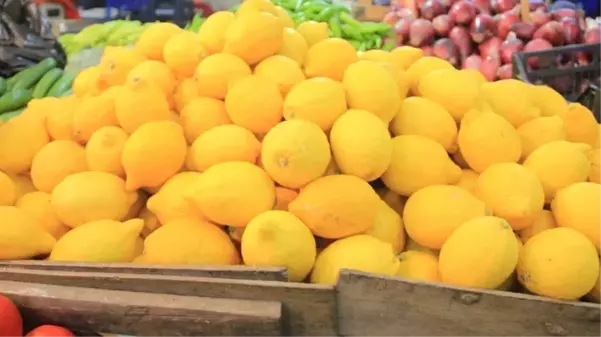 Limonun fiyatı ekim ayında tarladan markete gelene kadar 7 katına çıktı