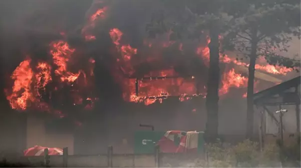 Şili'deki orman yangınlarında can kaybı 64'e yükseldi