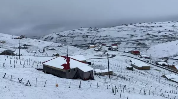 Doğu Karadeniz'de mayıs ayında kar sürprizi! Her yer beyaza büründü