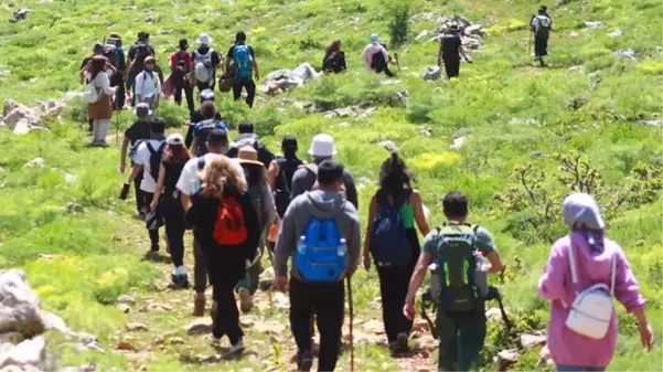 20 günlük ömrü olan çiçeği görmek için kilometrelerce yol katettiler