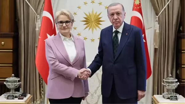 Cumhurbaşkanı Erdoğan, eski İYİ Parti Genel Başkanı Akşener'i kabul etti