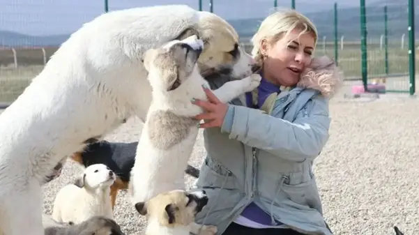 Buket Özgünlü kimdir, ne iş yapıyor? Buket Özgünlü (köpek velisi) neden tutuklandı, kuduz köpek olayı nedir?