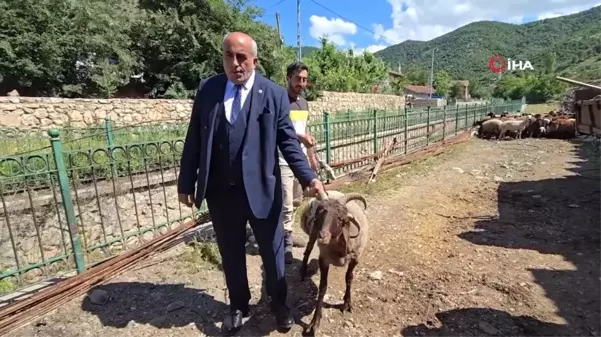 Binali Yıldırım'a dört boynuzlu koç hediye edildi