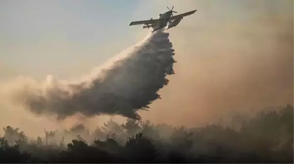 Çanakkale Eceabat'ta dünden beri devam eden orman yangını kontrol altına alındı