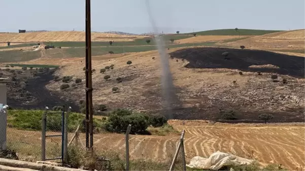 Anız yangınından etkilenen Diyarbakır'daki kırsal mahallede hortum oluştu