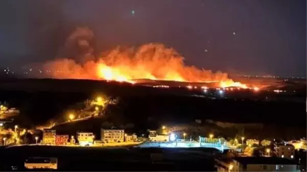 Diyarbakır'da anız yangını! İki ilçeden itfaiyeler bölgeye sevk edildi