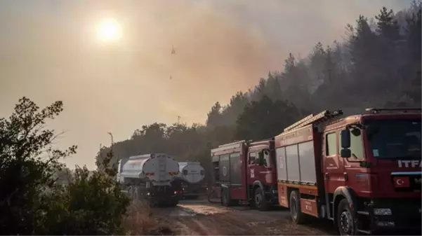 Bursa ve Tokat'ta orman yangını çıktı, ekipler zamana karşı yarış başlattı