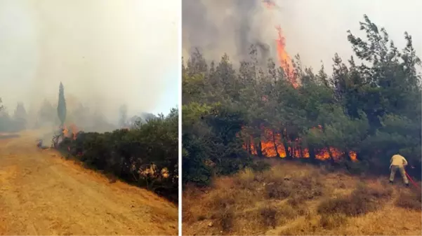 Çanakkale'de orman yangını! Şehitlik ve Conkbayırı ziyarete kapatıldı