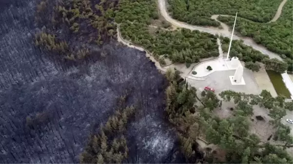 Çanakkale'de orman yangını sonucu bir günde yaşanan kayıp gözler önüne serildi