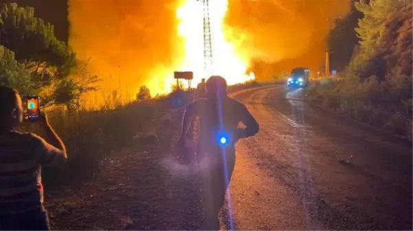 Aydın'da zamanla yarış! Gönüllüler ve gazeteciler alevlerin arasında kalmaktan son anda kurtuldu