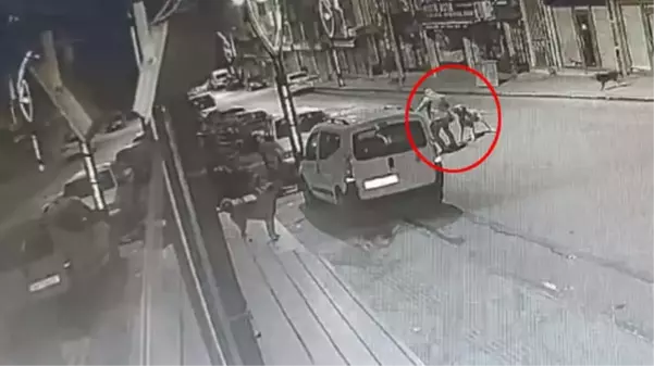 Başıboş sokak köpeği dehşeti anbean kamerada! Bağrışları sokağı inletti