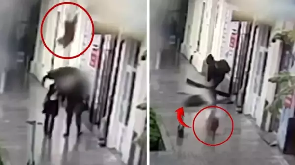 Yolda yürürken başına köpek düşen kadın ağır yaralandı