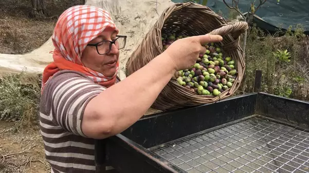 Para var ama çalışan yok: Günlük 3 bin TL maaşla işçi aranıyor