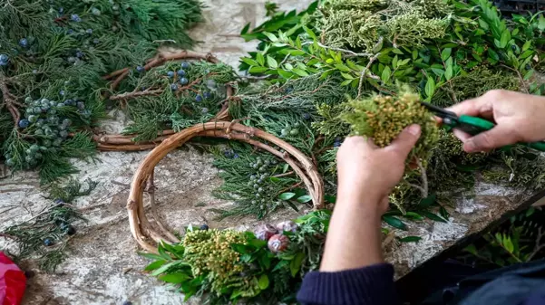 Çöpten toplanıyor, tanesi 109 TL'den Avrupa'ya kapış kapış satılıyor