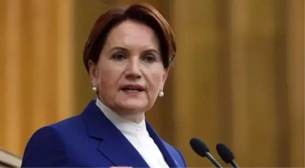 Fatih Akşener kimdir? Meral Akşener'in oğlu Fatih Akşener kimdir mesleği ne?