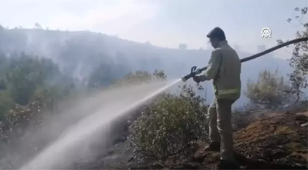 Kahramanmaraş'ta Orman Yangını: Havadan ve Karadan Müdahale Devam Ediyor