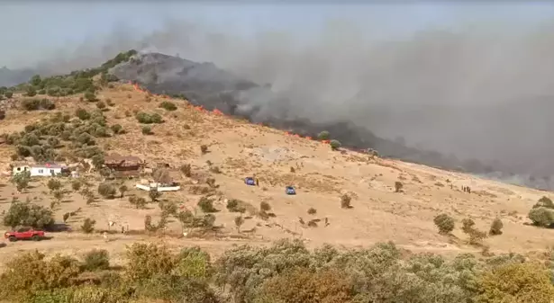 Foça'da çıkan orman yangınında mahalle tahliye edildi