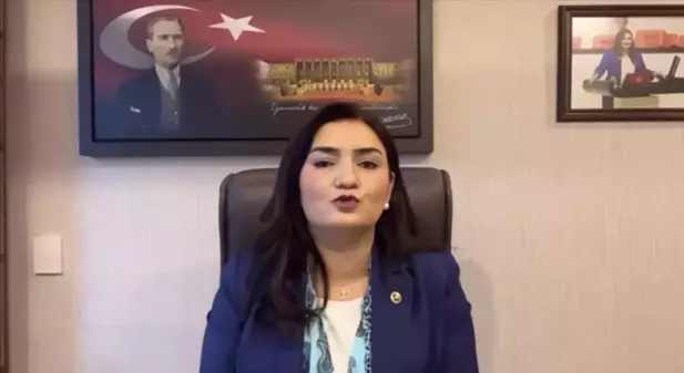 Sevda Erdan Kılıç: 