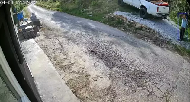 Alanya'da kedi ve köpek oteline silahlı saldırı