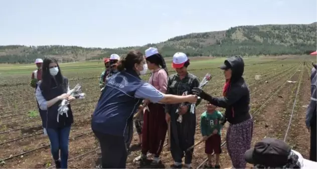 TARLADA ÇALIŞAN ANNELER UNUTULMADI