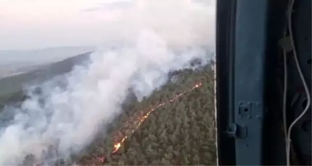 Manisa haberi! Manisa'da ormanlık alanda yangın