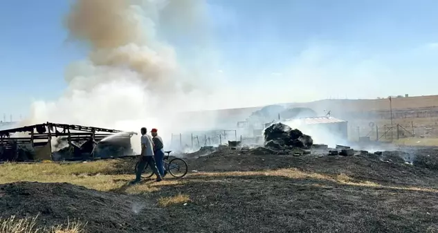 Çorlu'da çiftlik yangınında 500 dönüm tarım arazisi zarar gördü