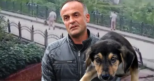 Yavru köpeği faraşla dereye atan işçi için karar verildi!