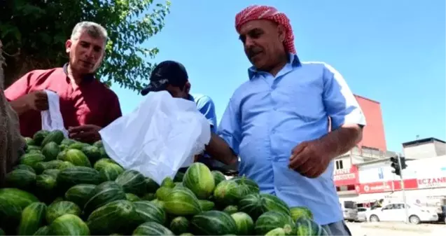 Dışı karpuza, içi kavuna, tadı salatalığa benziyor! Şanlıurfalılar patentini alacak