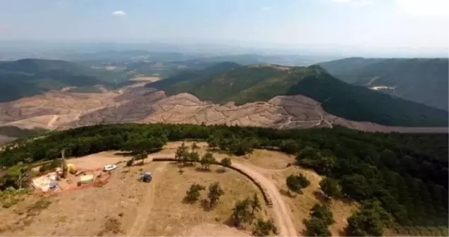 Kaz Dağları'nda binlerce ağacın kesimine tepki olarak 