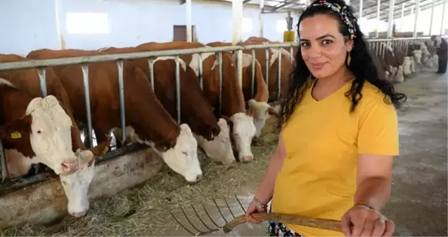 17 yıl sonra döndüğü köyünde süt tesisi kurdu! Şimdi paraya para demiyor