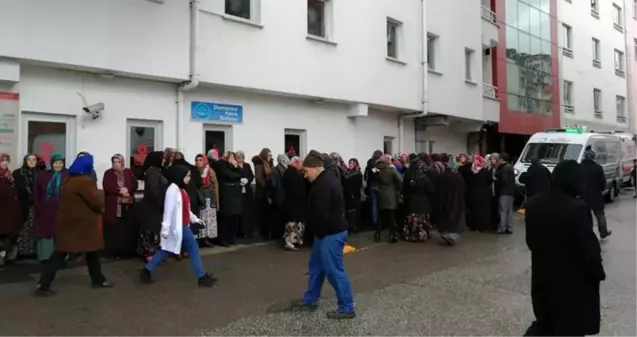 Ordu'da domuz gribinden bir kişi hayatını kaybetti