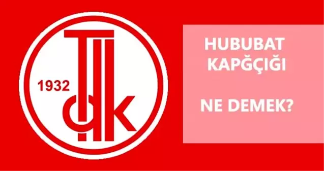 Hububat kapçığı ne demek? Kapçık ne demek? Hububat ne demek?