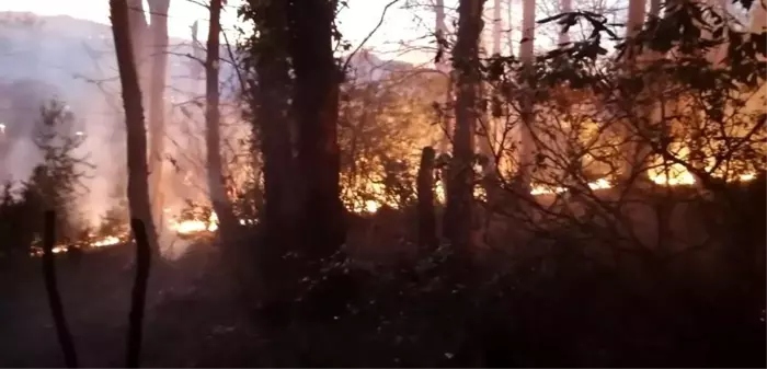 Ordu'da örtü yangını evlere sıçramadan söndürüldü, şoka giren vatandaş sinir krizi geçirdi