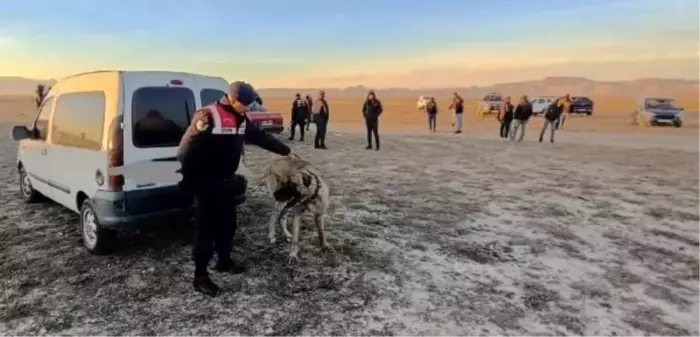 Yeşilhisar'da Bahisle Köpek Dövüştürenlere Para Cezası