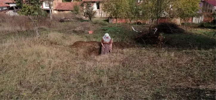 Son dakika haberi | Tarlasını için su çukuru açarken misket bombası buldu