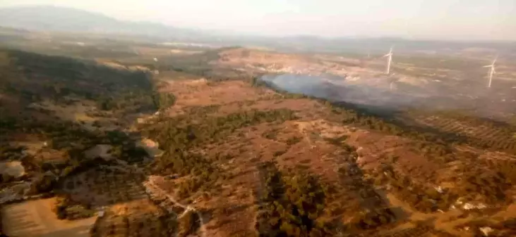 Son dakika haber | İzmir'de ziraat arazisindeki yangına müdahale ediliyor