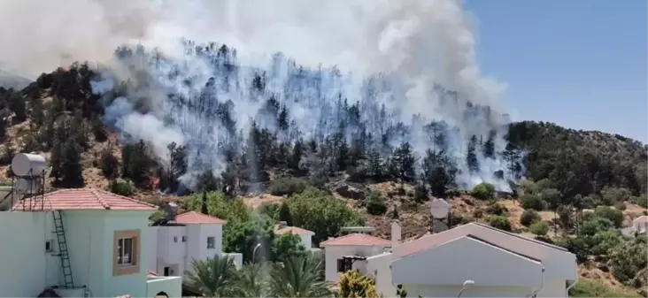 KKTC'de ormanlık alanda çıkan yangın kontrol altına alındı