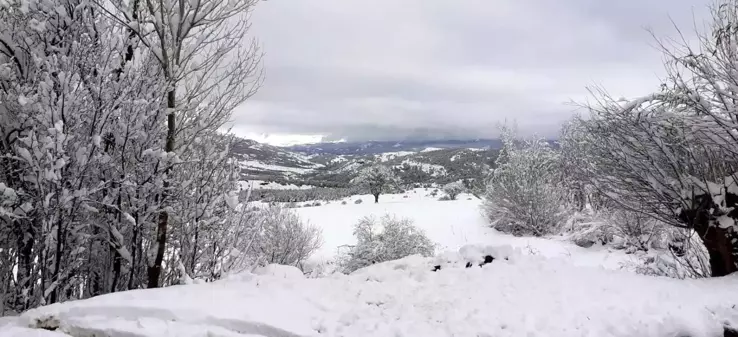 Erzincan'ın yüksek kesimleri kardan beyaza büründü