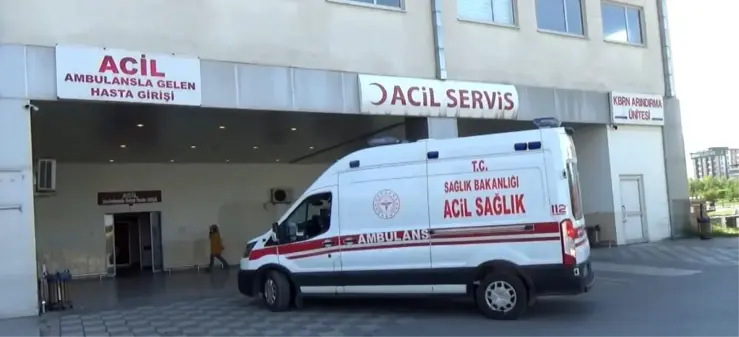 Malatya'da acemi kasaplar hastanelik oldu