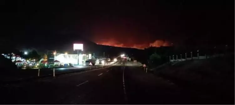 Mersin Aydıncık'taki orman yangını ikinci gününde