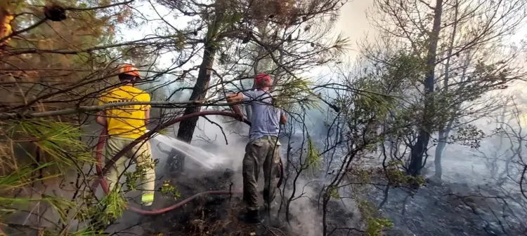 Son dakika haber! Çanakkale'nin Ezine ilçesinde çıkan orman yangını kontrol altına alındı