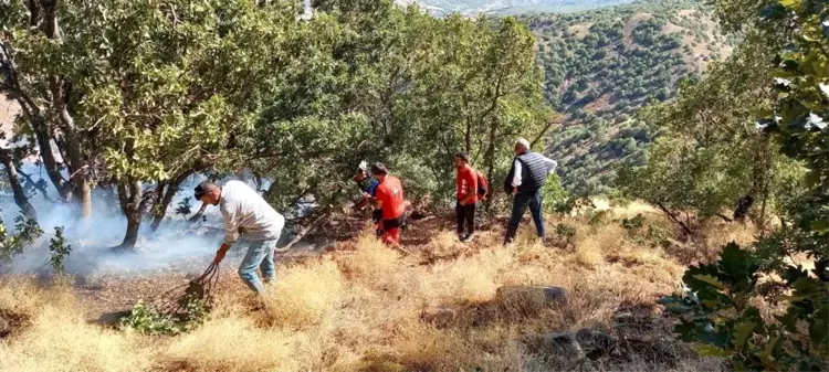 Son dakika... SAR, Bingöl'deki yangınlarda ekiplere destek verdi