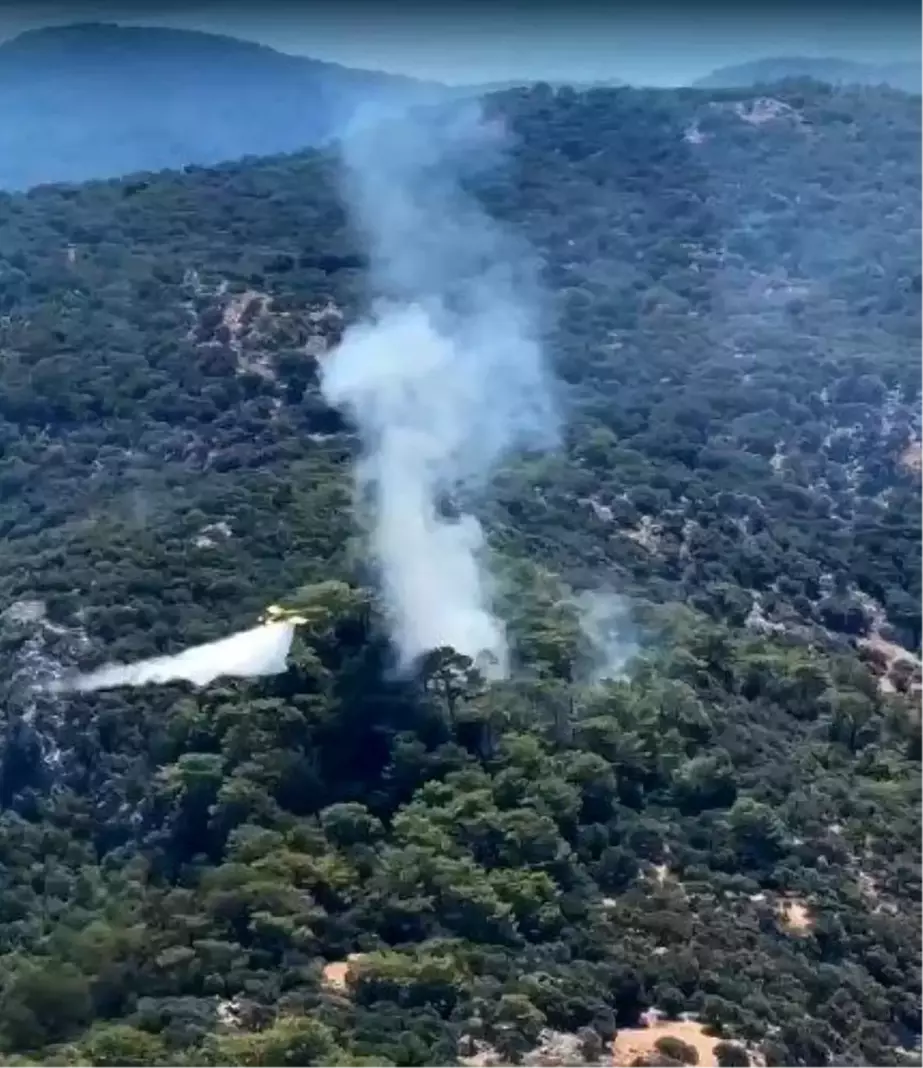 Muğla'da Ormanlık Alanda Yangın Çıktı