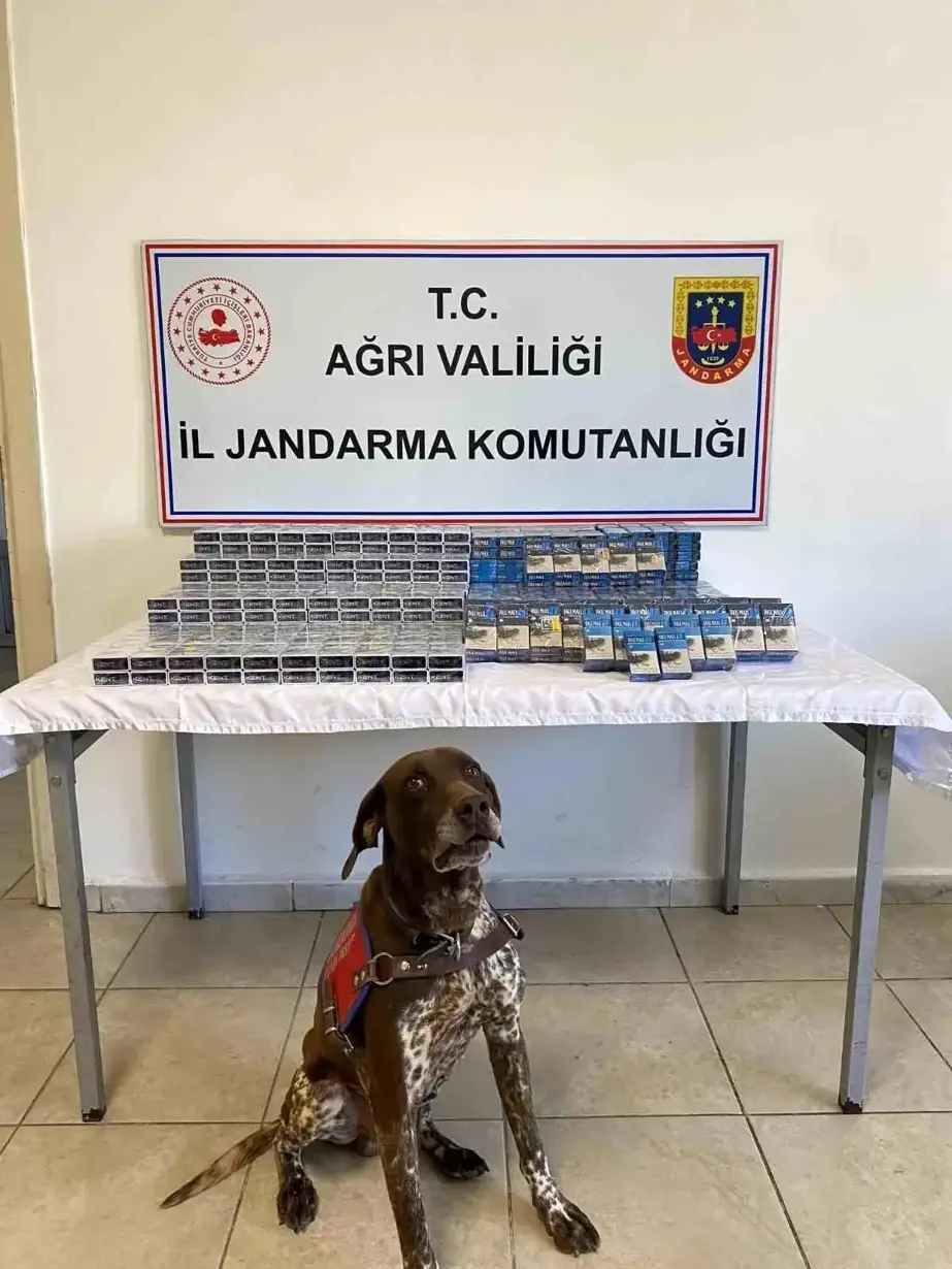 Ağrı'da bin 294 paket kaçak sigara ele geçirildi