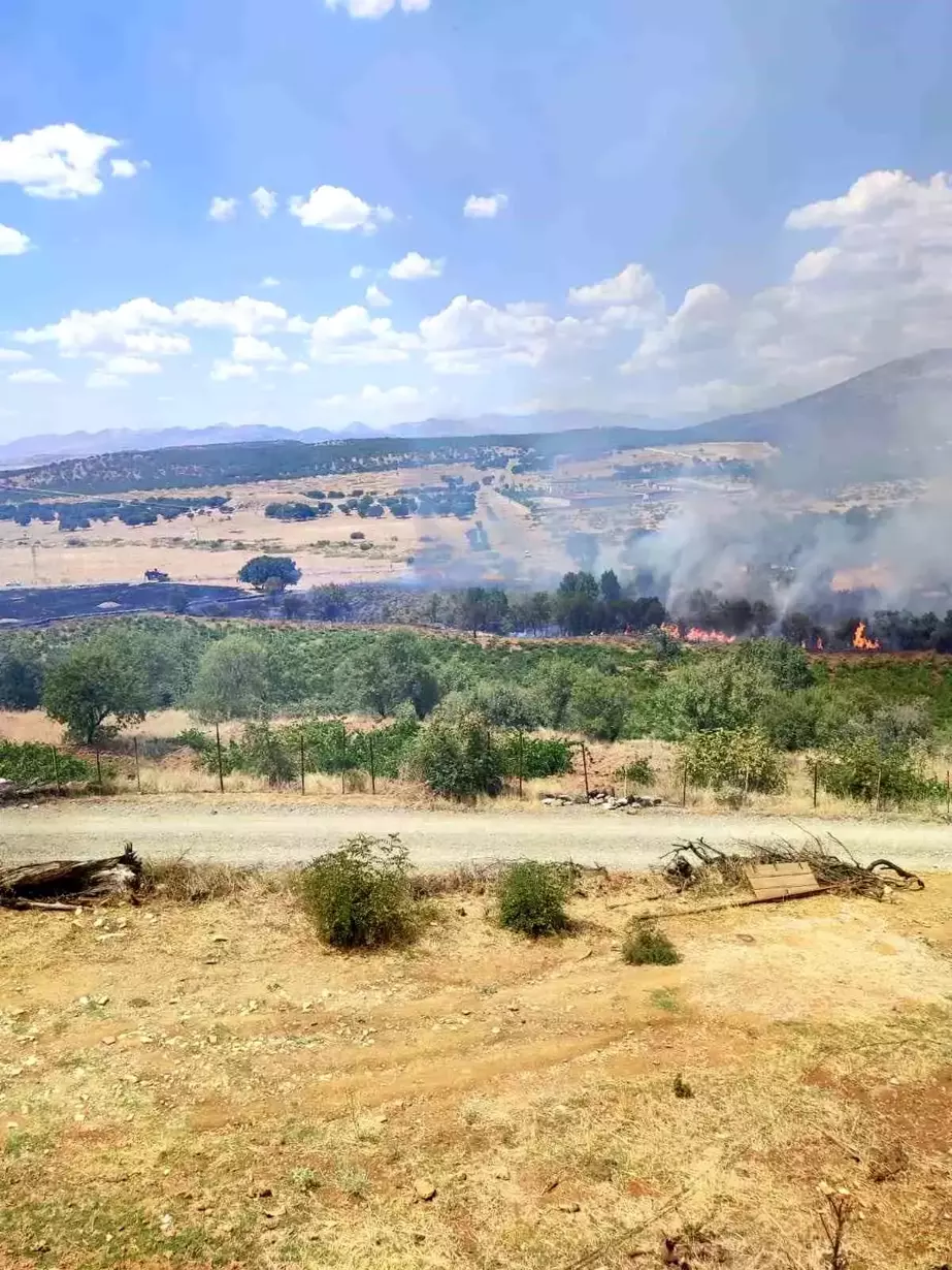 Diyarbakır'ın Kulp ilçesinde yangında üzüm bağları ve meyve ağaçları zarar gördü