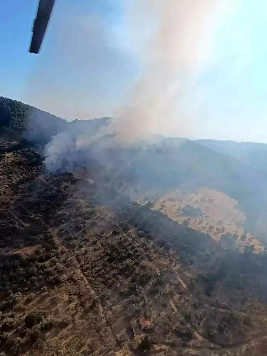 Çanakkale'de Orman Yangını Kontrol Altına Alınmaya Çalışılıyor