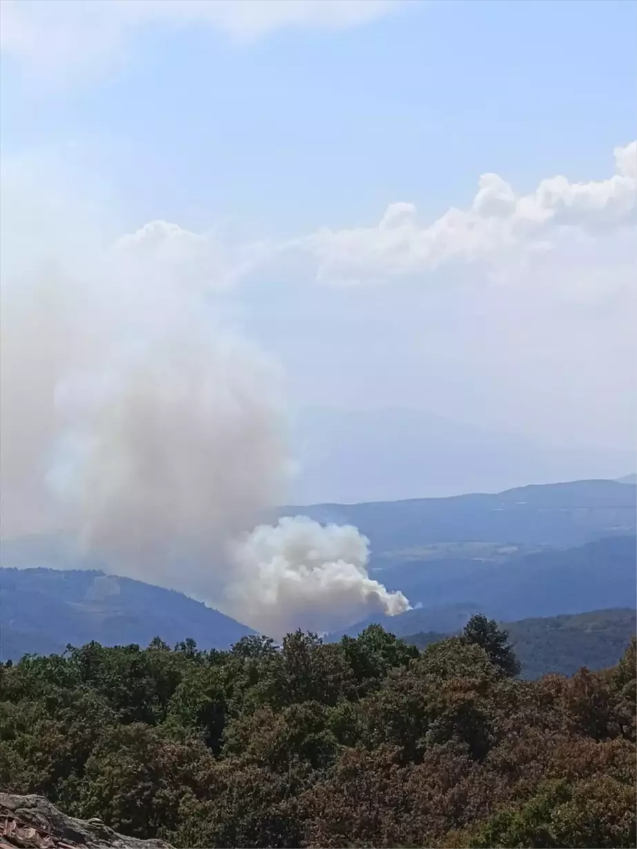 İznik'te Orman Yangını Söndürme Çalışmaları Başlatıldı