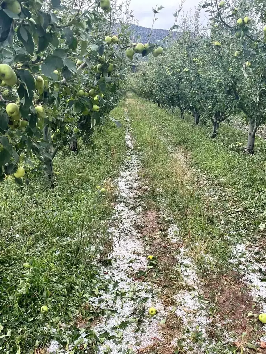 Isparta'da Dolu Yağışı Meyve Bahçelerine Zarar Verdi