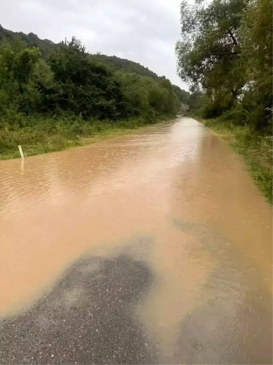 Zonguldak'ta Yoğun Yağışlar Ulaşımı Olumsuz Etkiledi